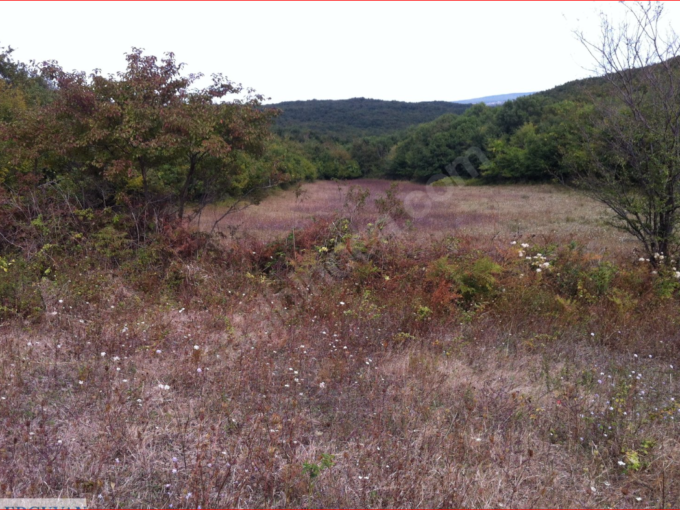 ÇATALCA ÇİFTLİKKÖY’DE ARAZİ